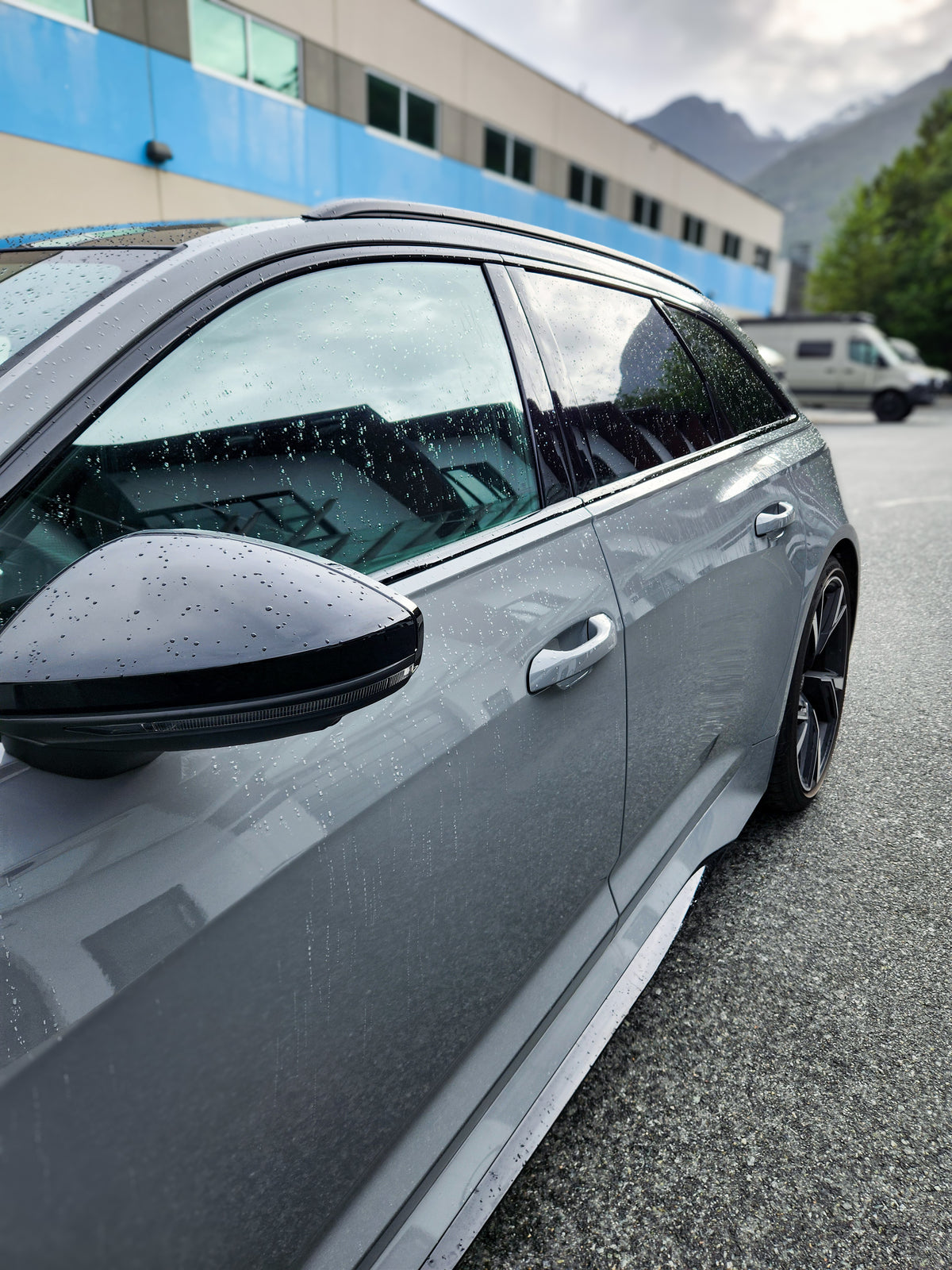 Window Tint