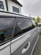 Window Tint