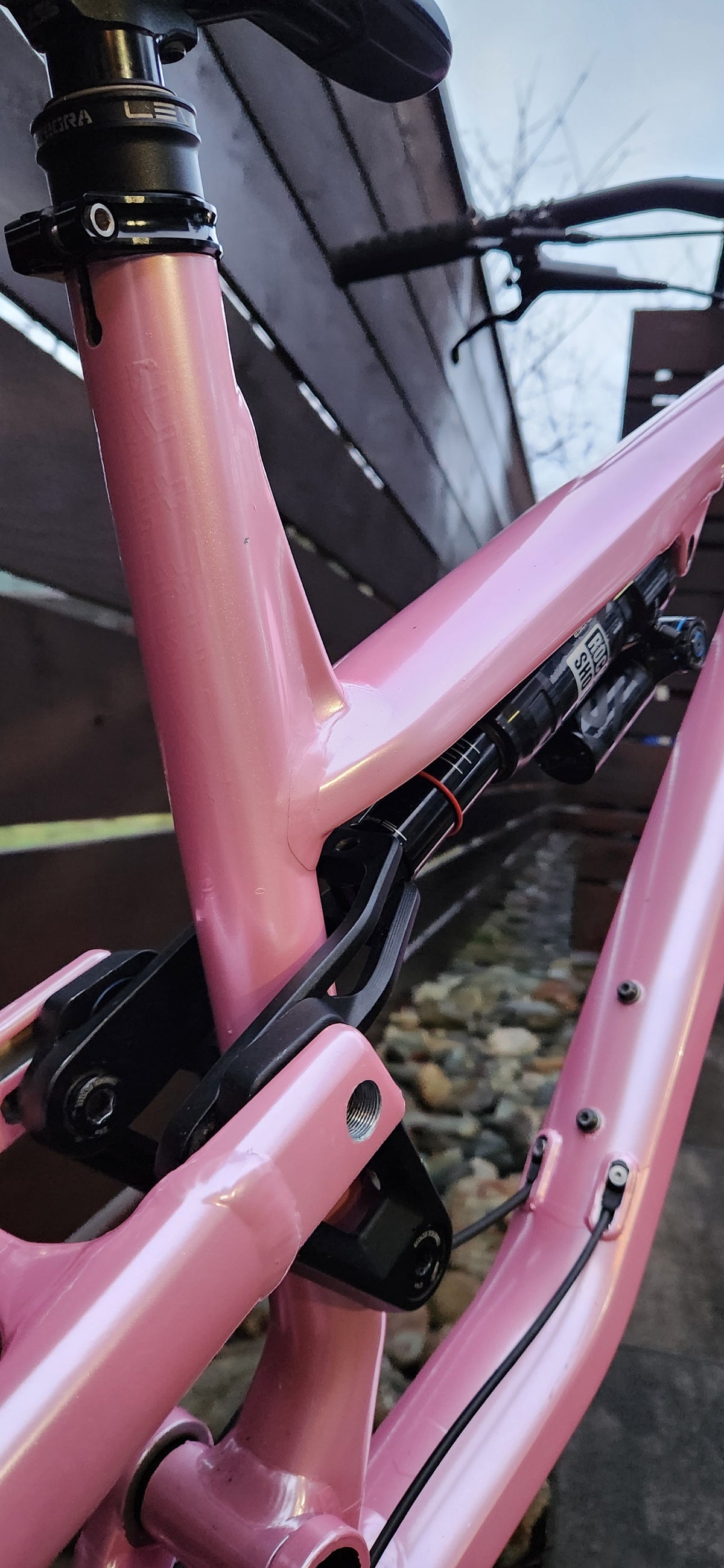 Bicycle Vinyl Wrap